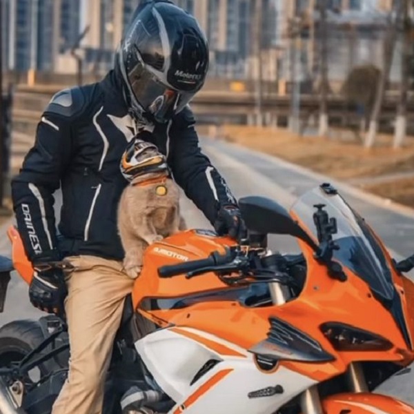 Find out if buying an expensive motorcycle helmet is worth