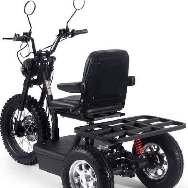 Learn what to look for when buying an electric trike