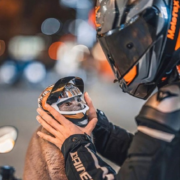 Find out if buying an expensive motorcycle helmet is worth