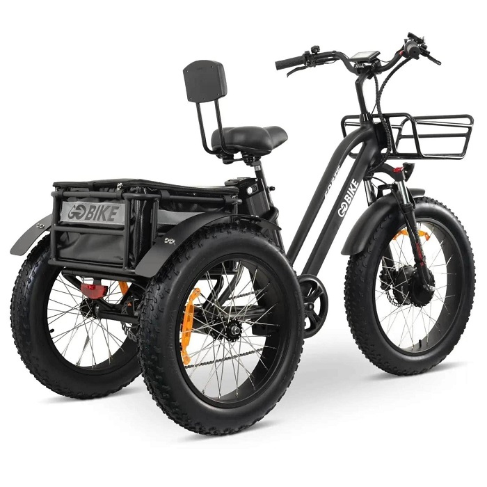 Learn what to look for when buying an electric trike