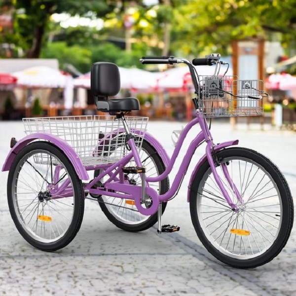 Learn what to look for when buying an electric trike