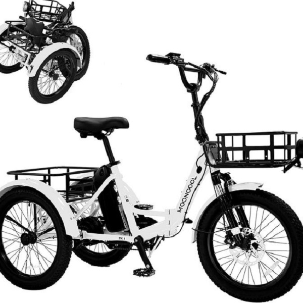 Learn what to look for when buying an electric trike